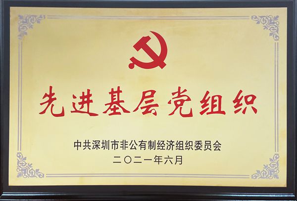 深圳市非公党委先进基层党组织